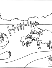 good-night-little-turtle-sheep-2