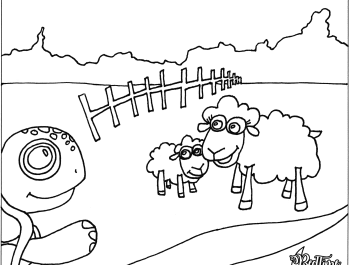 good-night-little-turtle-sheep-2