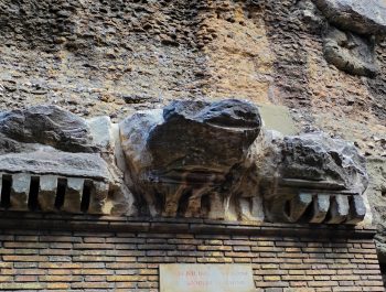 img_20240919_140641_edited-1